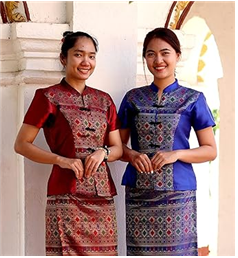 Luxurious Lao silk dress